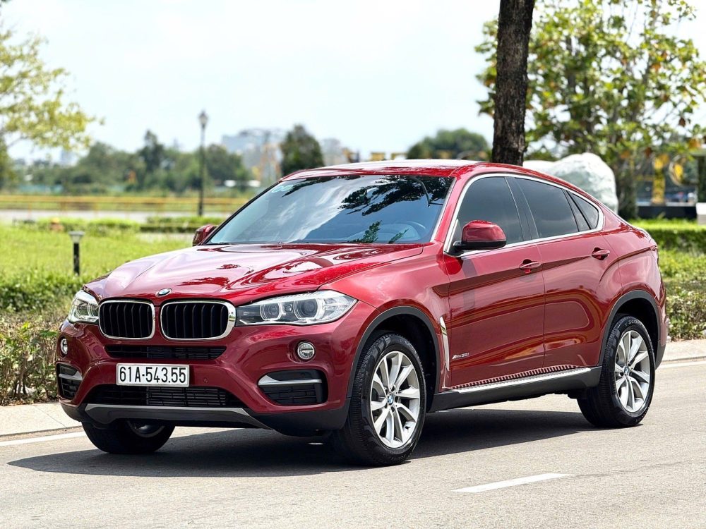 BMW X6 3.0 xDrive 35i 2017 – SUV Coupe Hạng Sang, ODO 64.000km - Hình ảnh 7