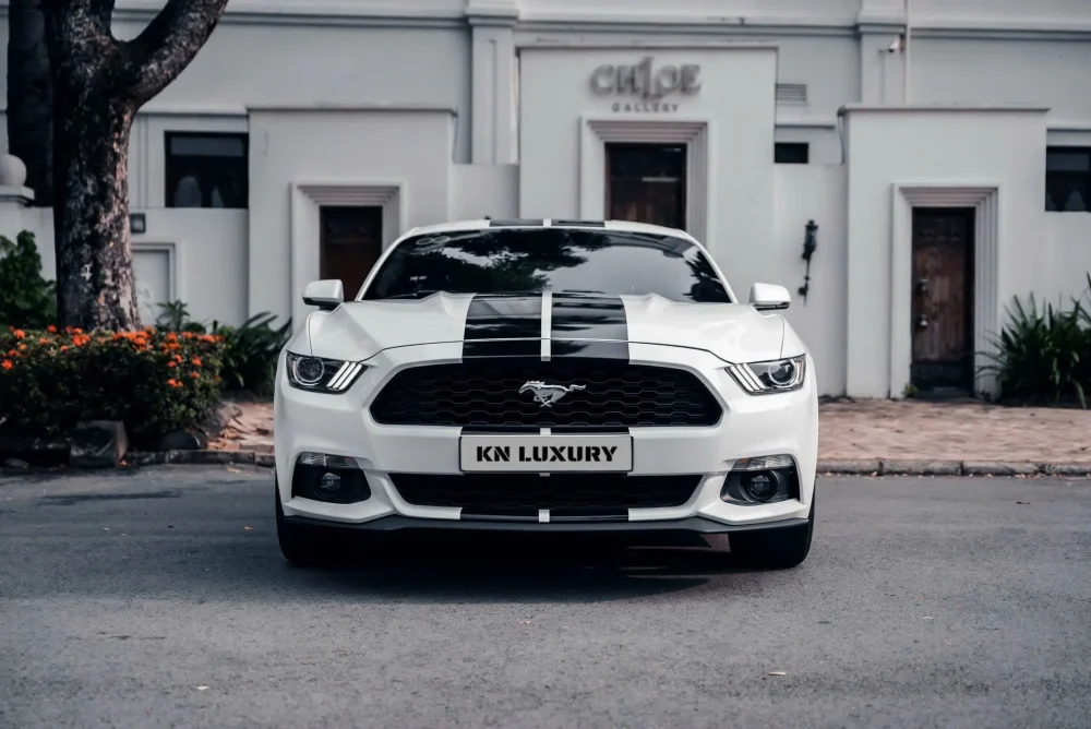 Ford Mustang 2.3 EcoBoost 2015 Cũ HCM - Giá Tốt KN Luxury - Hình ảnh 10