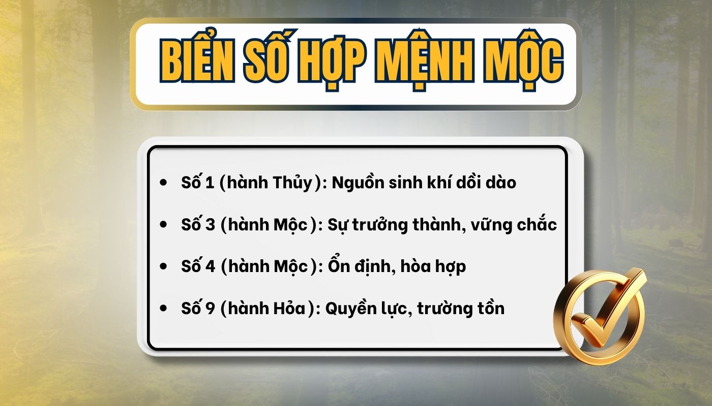 Biển số hợp mệnh Mộc gồm những số nào?