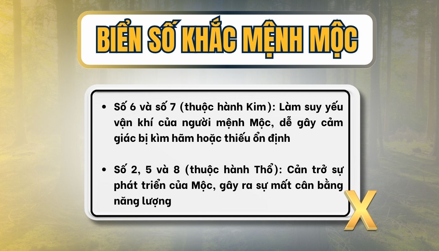 Biển số xe mệnh Mộc nên tránh những số nào?