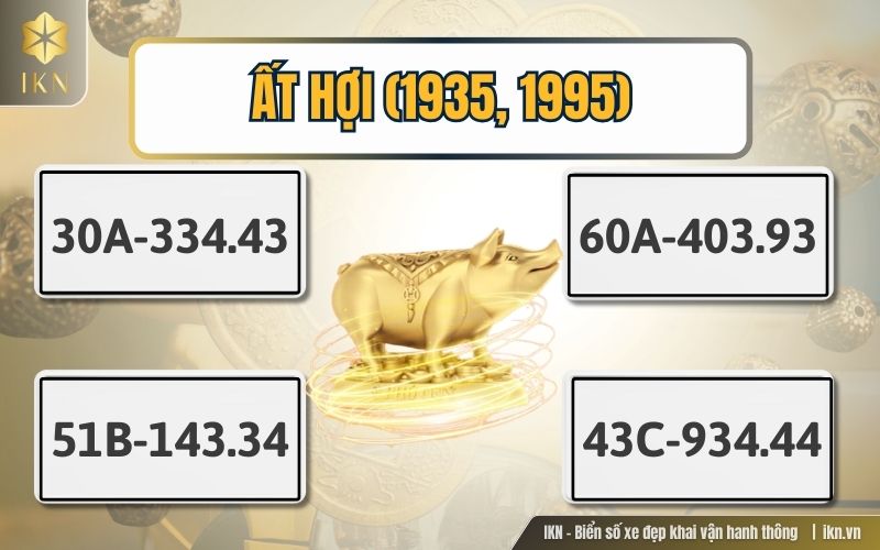 Biển số hợp tuổi Heo sinh năm 1935, 1995 Biển số hợp tuổi Heo sinh năm 1935, 1995