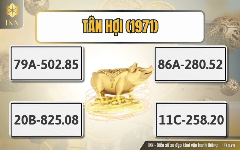 Tuổi heo hợp biển số xe nào nếu sinh năm Tân Hợi? Tuổi heo hợp biển số xe nào nếu sinh năm Tân Hợi?