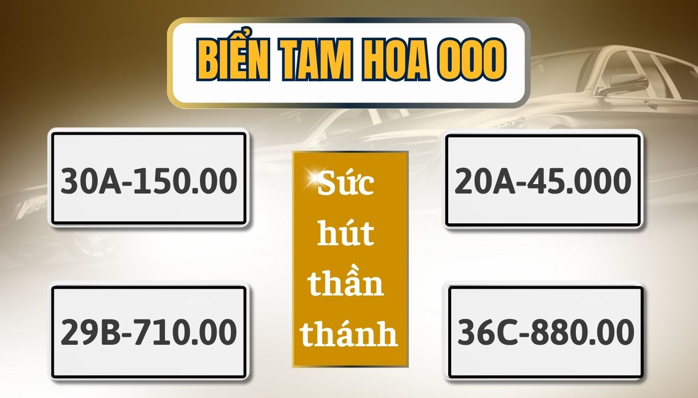 Biển số xe tam hoa 000