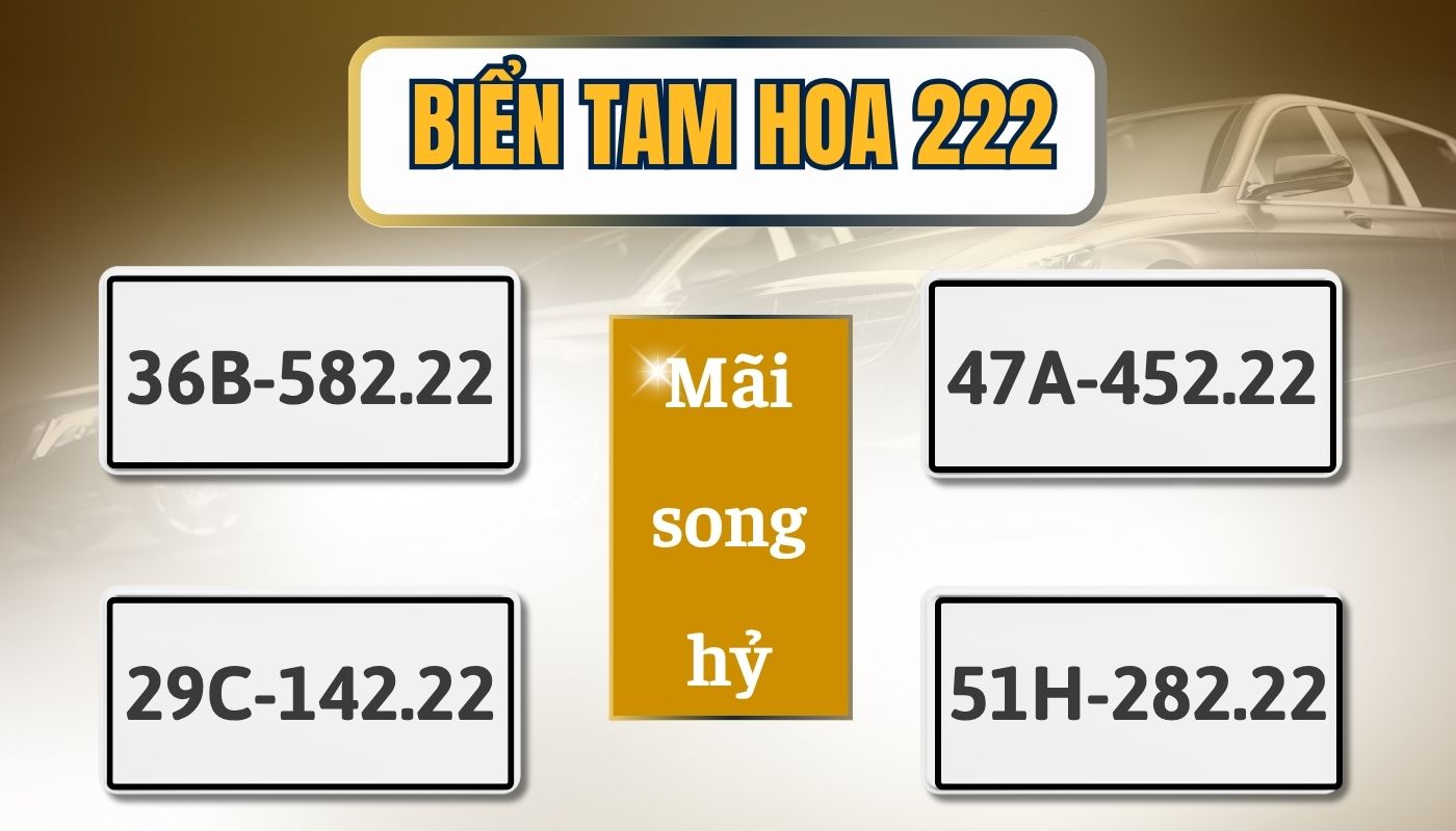 Giải mã biển số xe 222