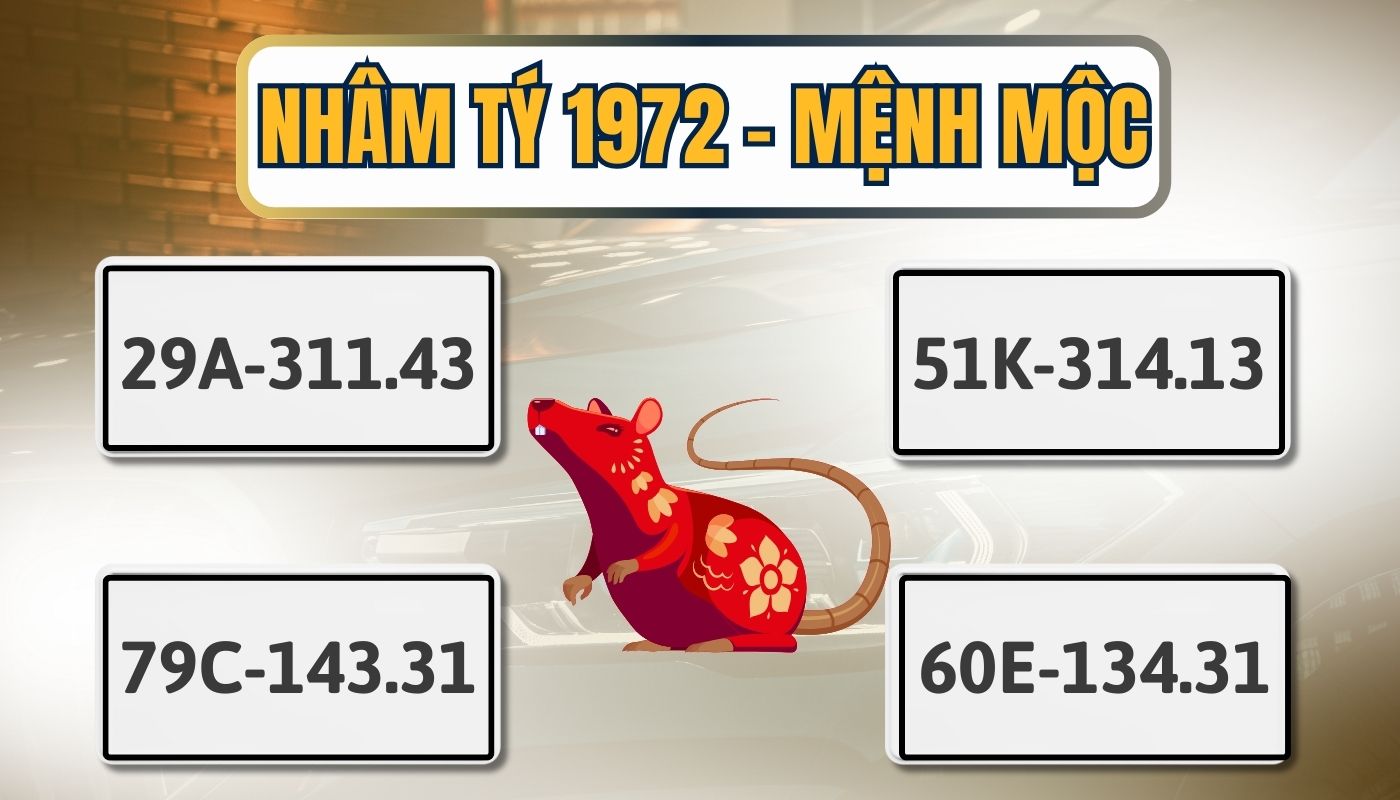 biển số xe hợp tuổi chuột năm 1972