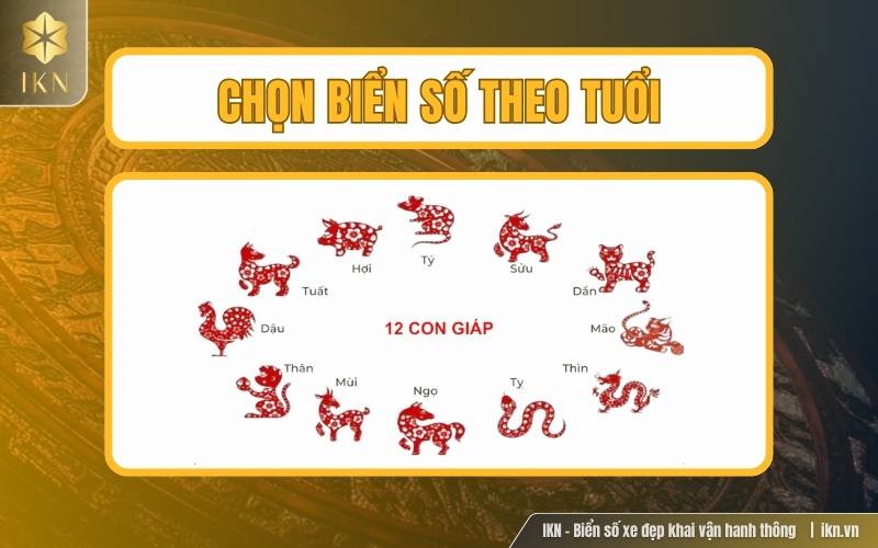 Chọn biển theo năm tuổi Chọn biển theo năm tuổi