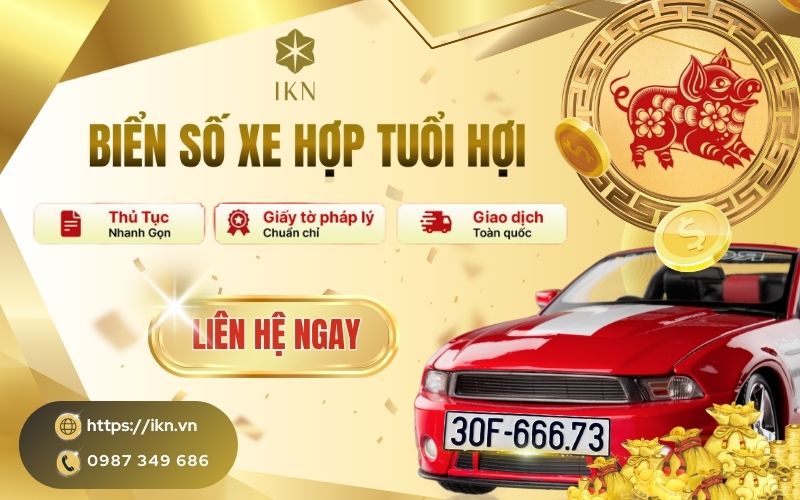 IKN chuyên tư vấn và cung cấp biển số hợp tuổi Hợi uy tín, minh bạch