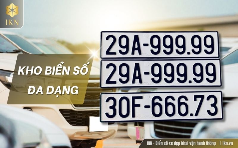 IKN cung cấp đa dạng các loại biển số xe