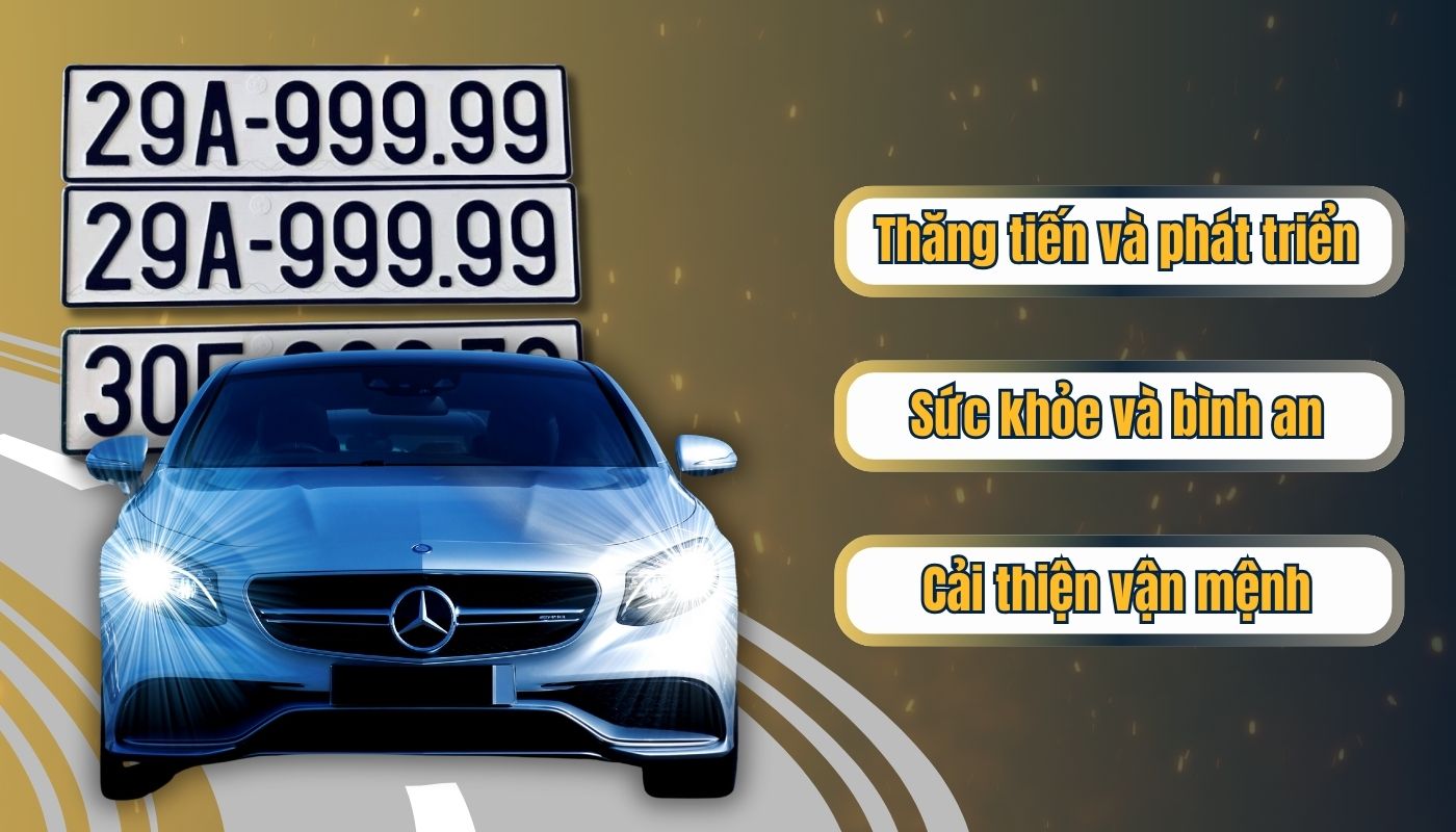 Lý do nên chọn biển số xe đẹp cho người tuổi Mèo