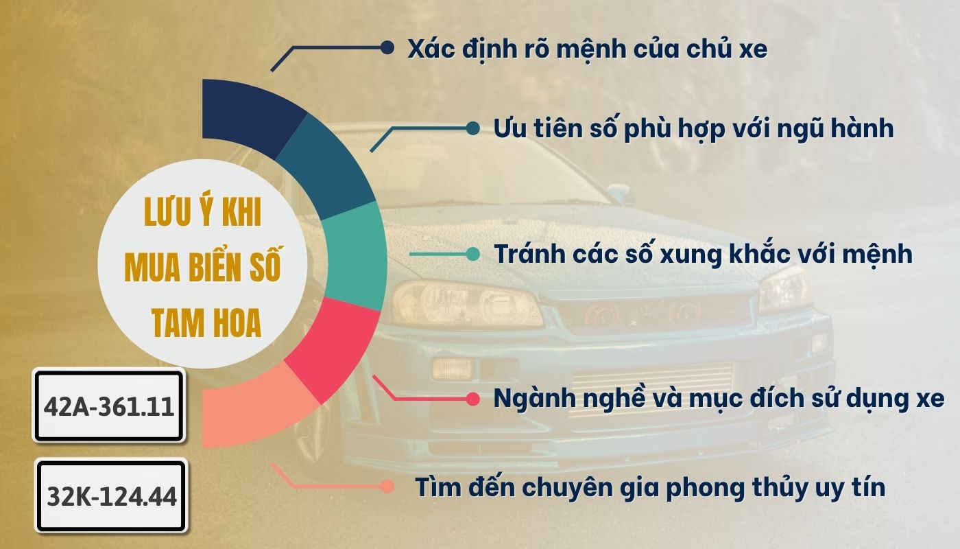 Lưu ý khi chọn mua biển số xe tam hoa
