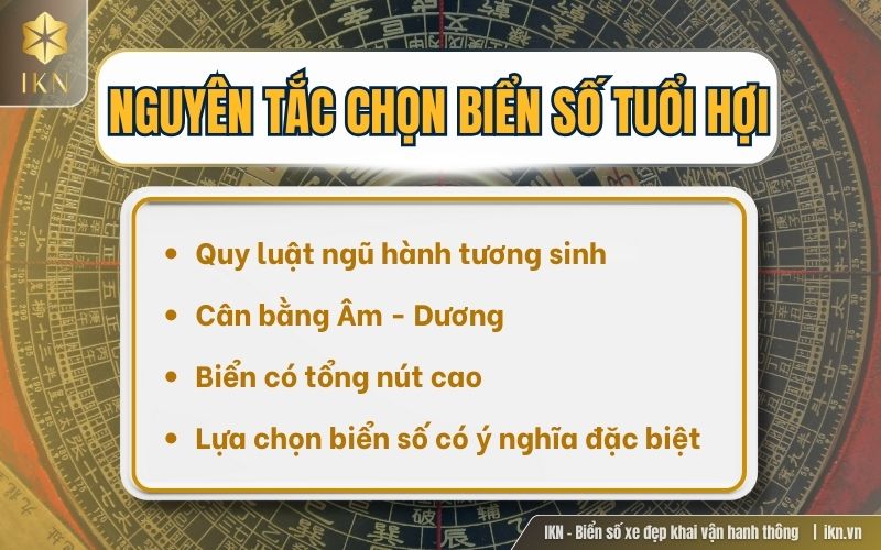 Chọn biển số xe hợp tuổi Hợi cần lưu ý các nguyên tắc quan trọng Chọn biển số xe hợp tuổi Hợi cần lưu ý các nguyên tắc quan trọng