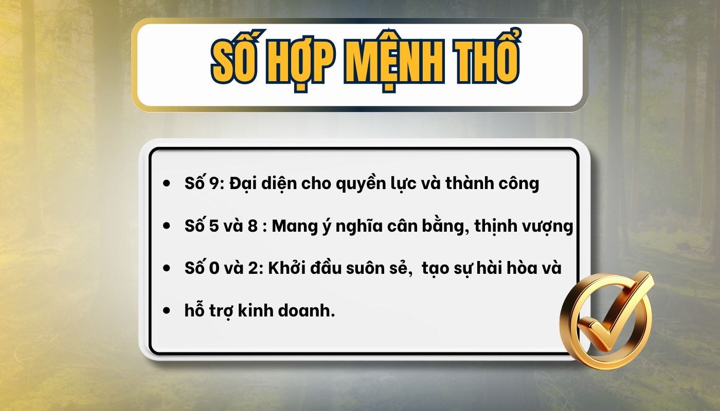 mệnh Thổ hợp với biển số xe nào?