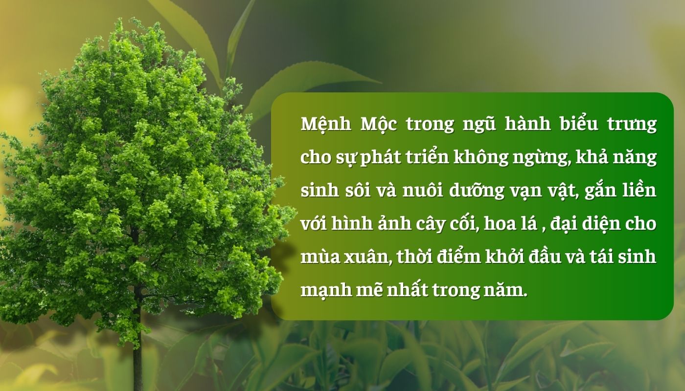Người mệnh mộc trong phong thuỷ là người như thế nào?