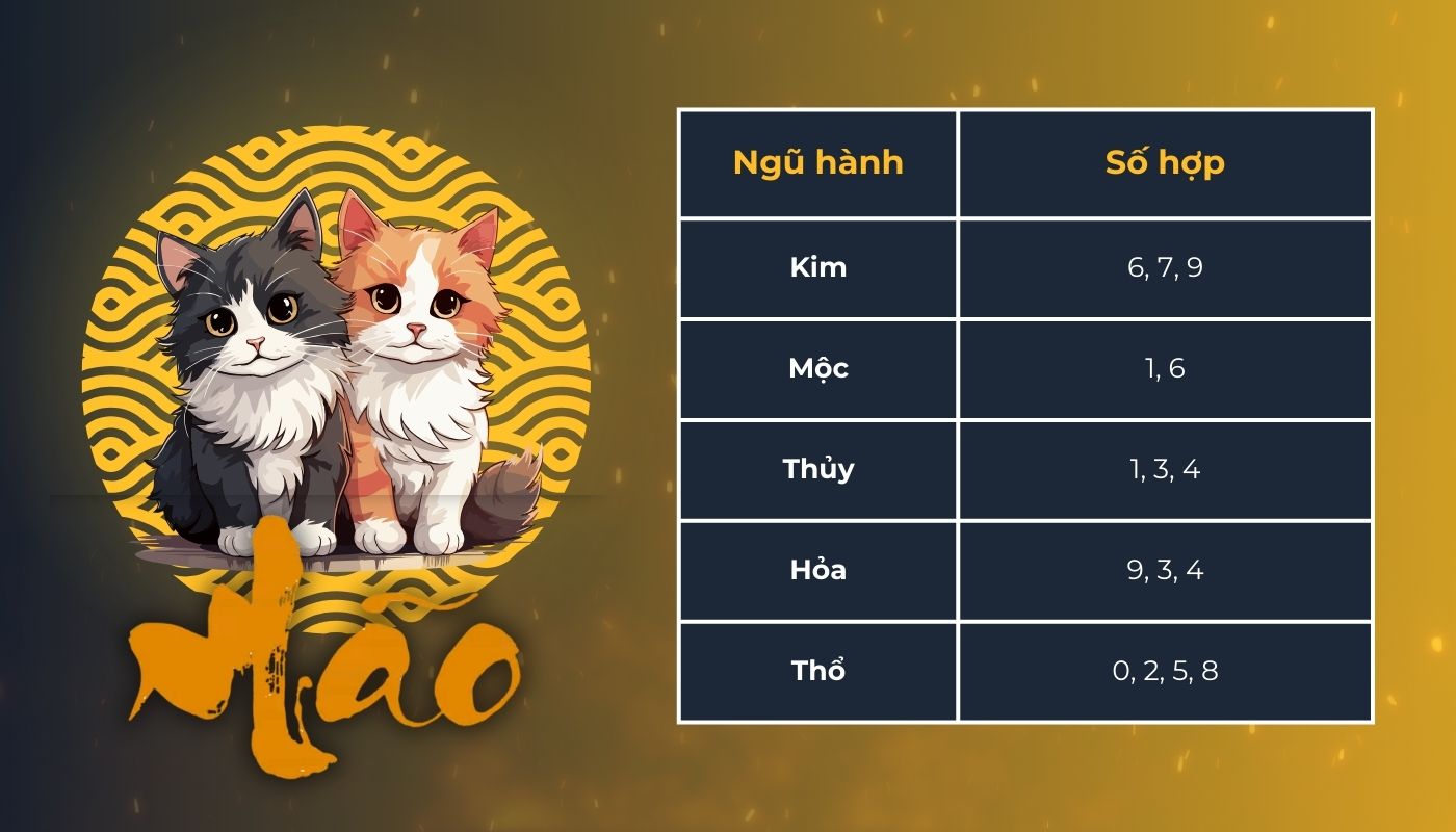 Người tuổi Mão hợp biển số xe nào?