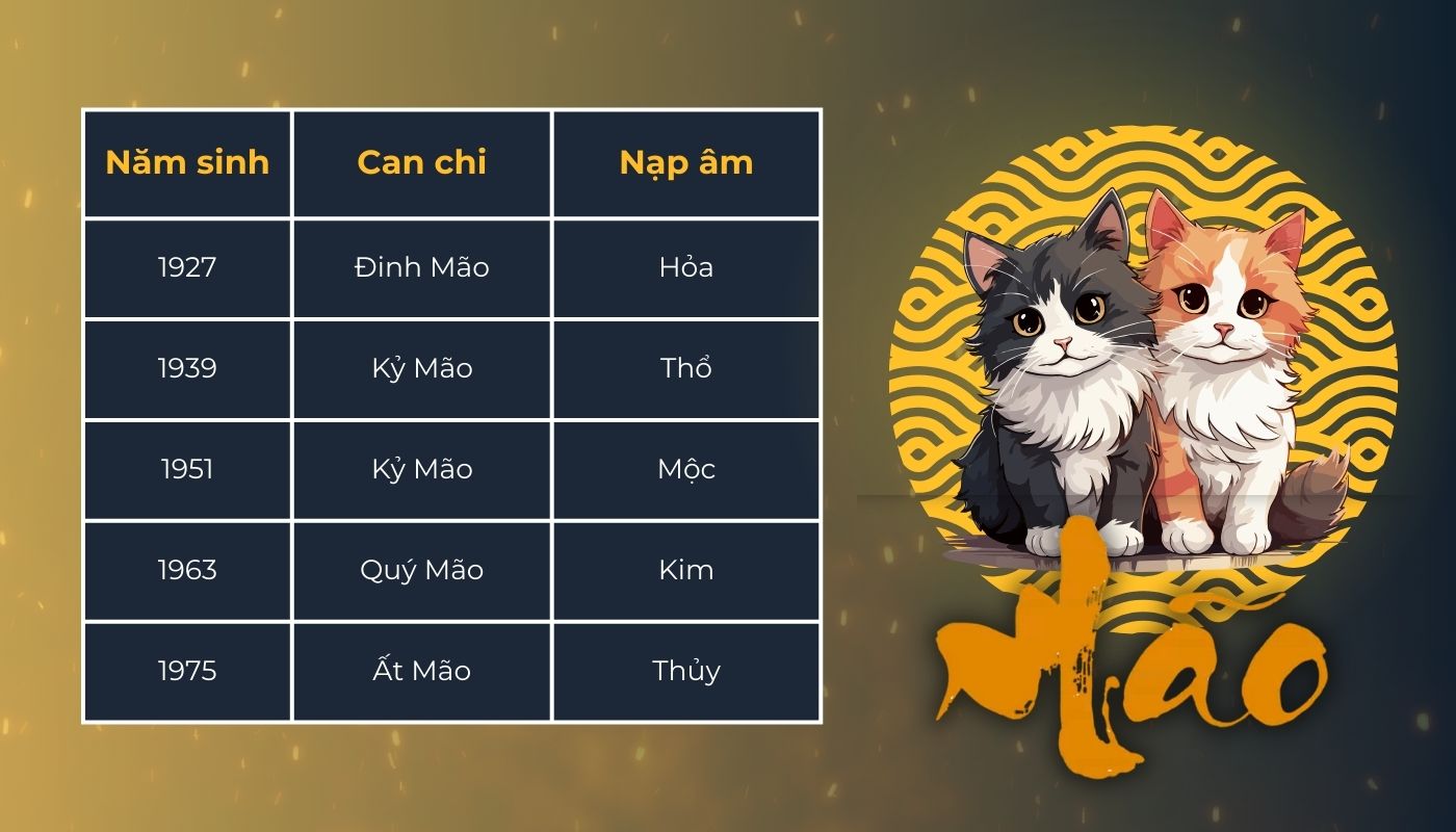 Đặc điểm của người tuổi Mẹo