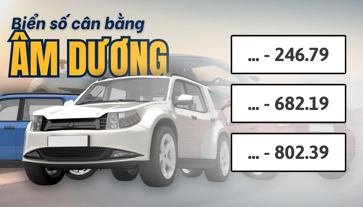 Lựa chọn theo cân bằng âm dương