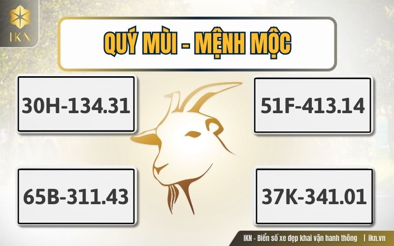 Chọn biển số xe Quý Mùi (1943, 2003) – Mệnh Mộc