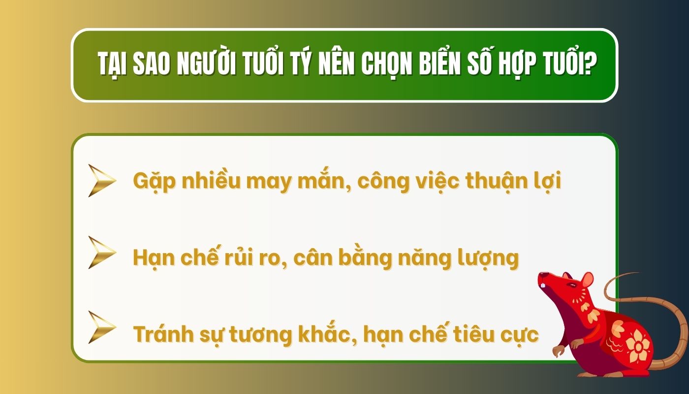 Lợi ích chọn biển số hợp tuổi Tý