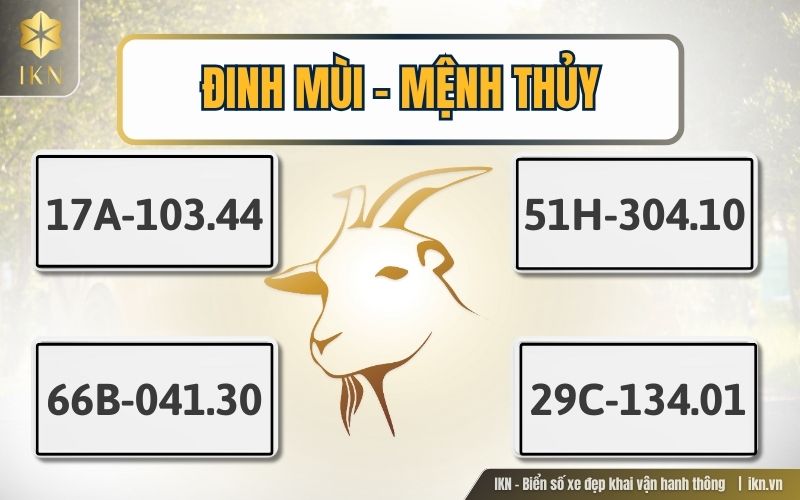 Chọn biển số xe hợp tuổi Đinh Mùi - Mệnh Kịm