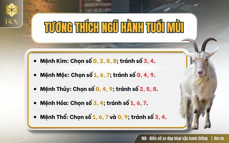 Nên chọn biển số xe hợp tuổi Mùi tương thích ngũ hành