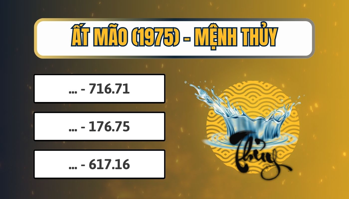 Người tuổi Ất Mão hợp số nào?
