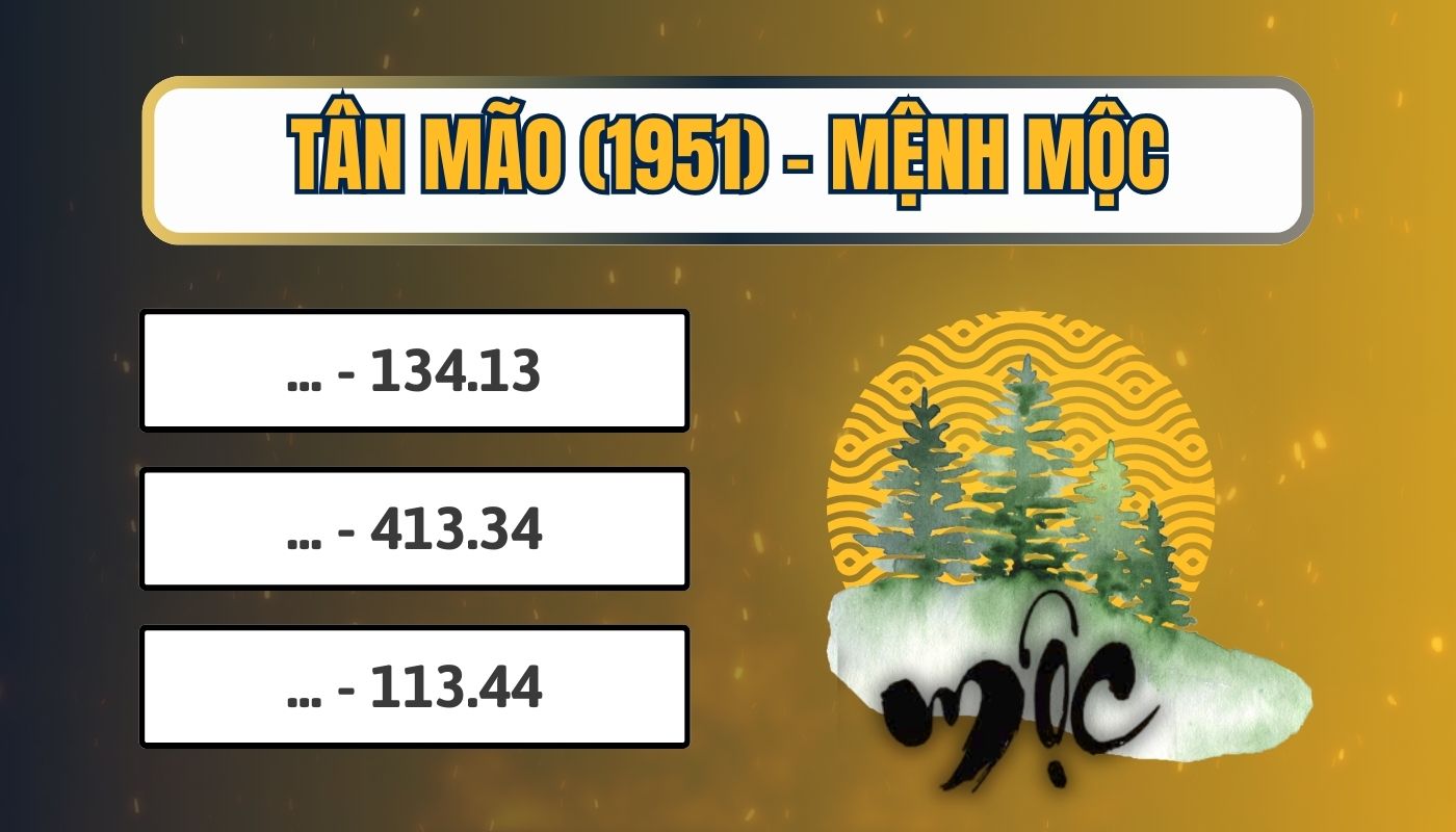 Gợi ý biển số xe hợp tuổi Mão mệnh Mộc