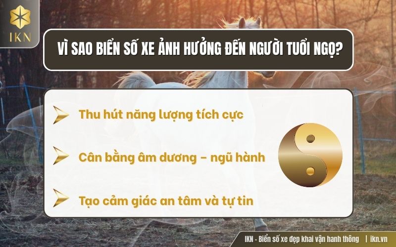 Tại sao nên chọn biển số hợp tuổi ngọ để tăng vượng khí Tại sao nên chọn biển số hợp tuổi ngọ để tăng vượng khí