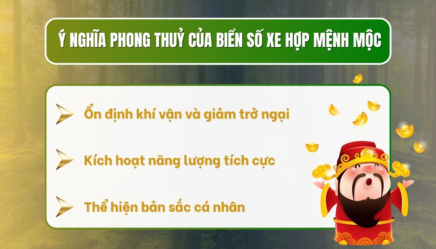 Lợi ích của việc lựa chọn biển số xe hợp mệnh Mộc 