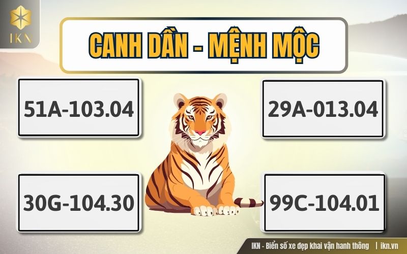 Canh Dần (1950, 2010) - Mệnh Mộc