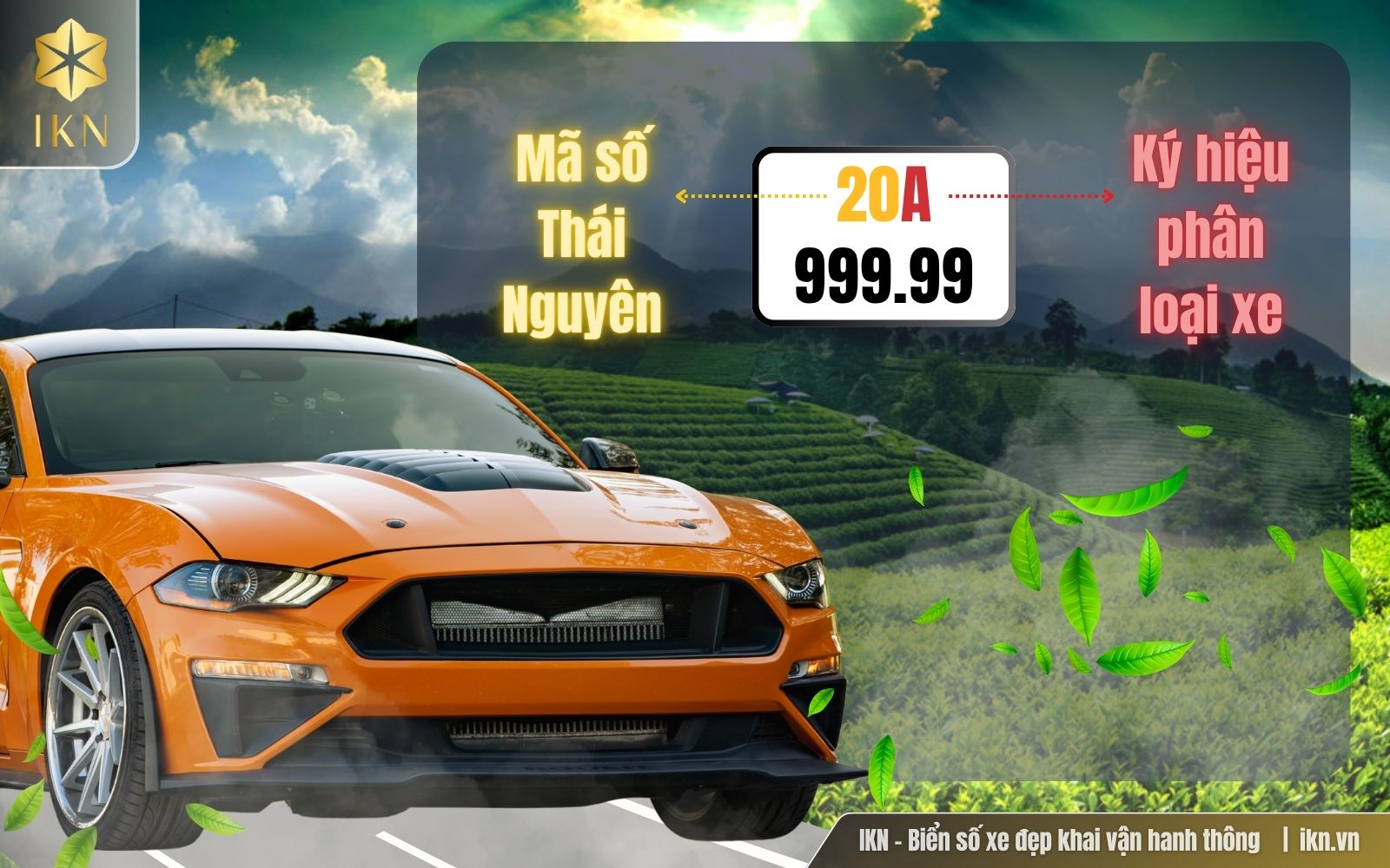 Giải mã ý nghĩa biển số Giải mã ý nghĩa biển số