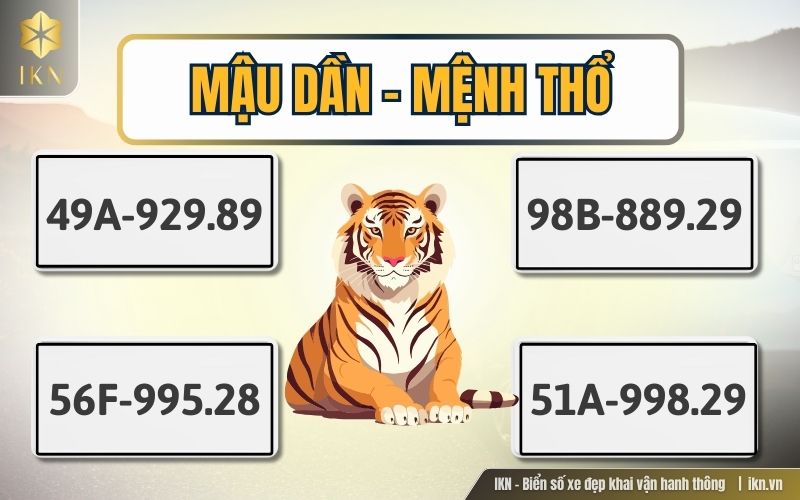 Mậu Dần (1938, 1998) - Mệnh Thổ