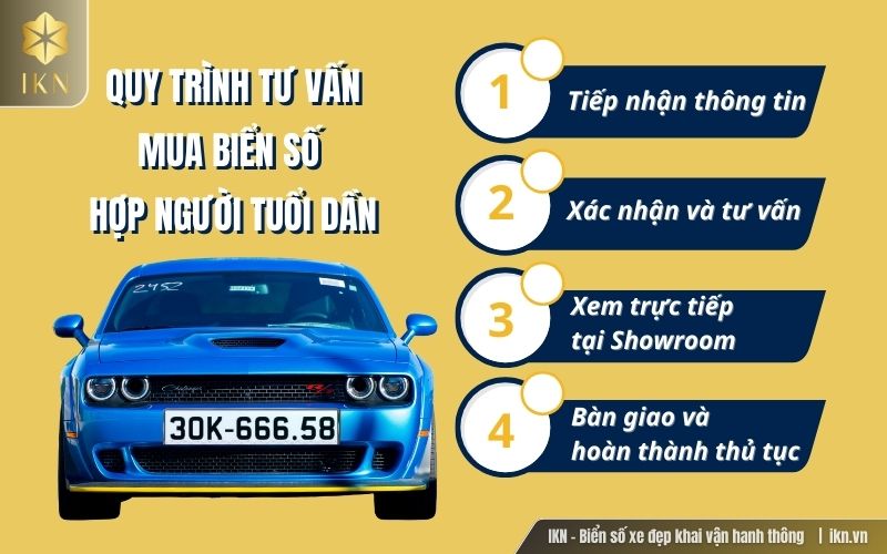 Quy trình chọn biển số xe đẹp cho người tuổi Dần tại IKN
