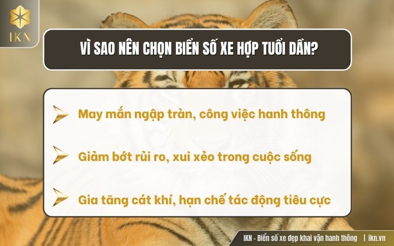 Tầm quan trọng biển số xe hợp tuổi Dần