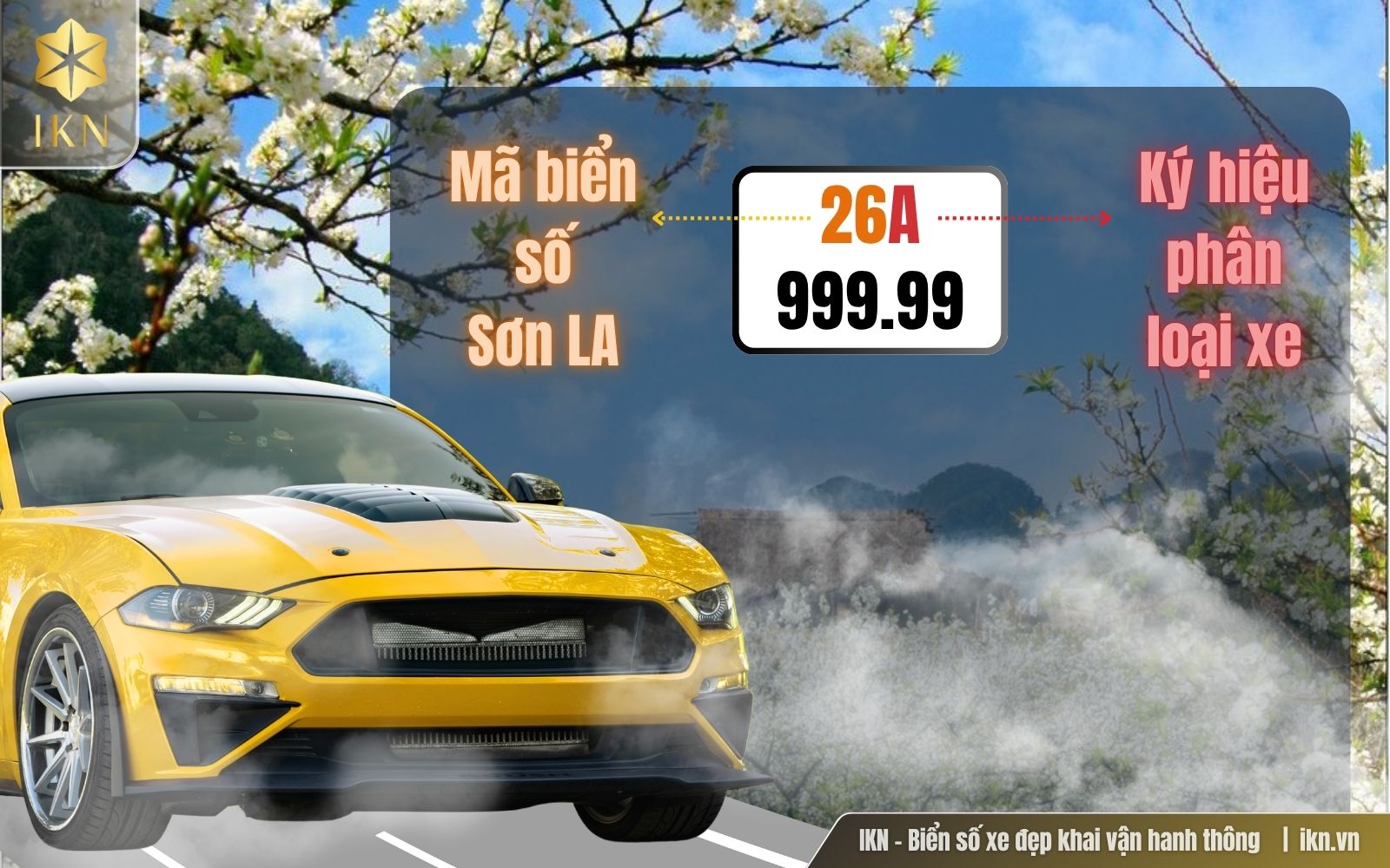 Ý nghĩa từng loại ký hiệu trên biển số xe