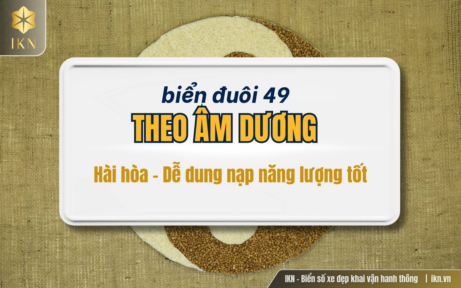 Giải nghĩa biển đuôi 49 theo âm dương