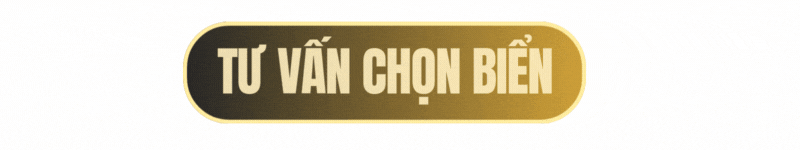 Liên hệ IKN để tư vấn