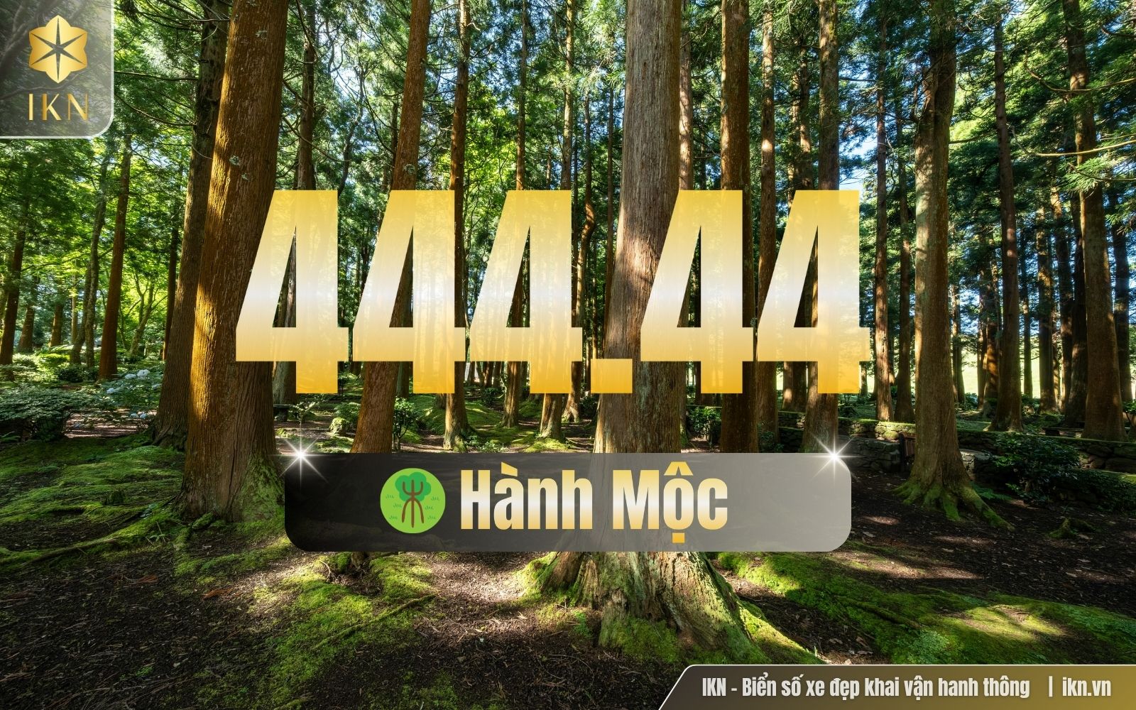 Biển số 44444 có ý nghĩa gì theo ngũ hành
